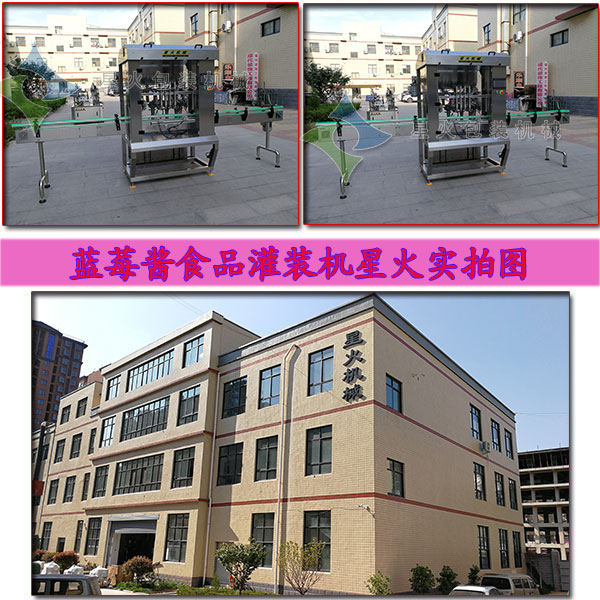 藍莓醬食品灌裝機