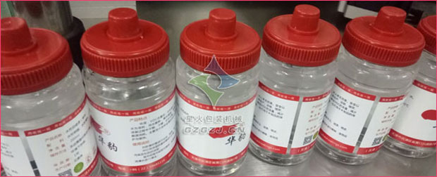 全自動涂料灌裝生產線