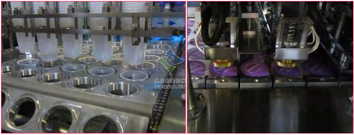 調味醬灌裝封口機,全自動碗裝調味醬灌裝機